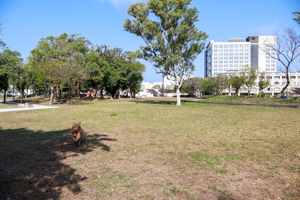 台南安平住宿推薦|衡定理台南安平包棟民宿.畃雨。高質感設計x寵物友善民宿,超值又放鬆的度假首選!! - 第4張圖 台南安平住宿推薦|衡定理台南安平包棟民宿.畃雨。高質感設計x寵物友善民宿,超值又放鬆的度假首選!!