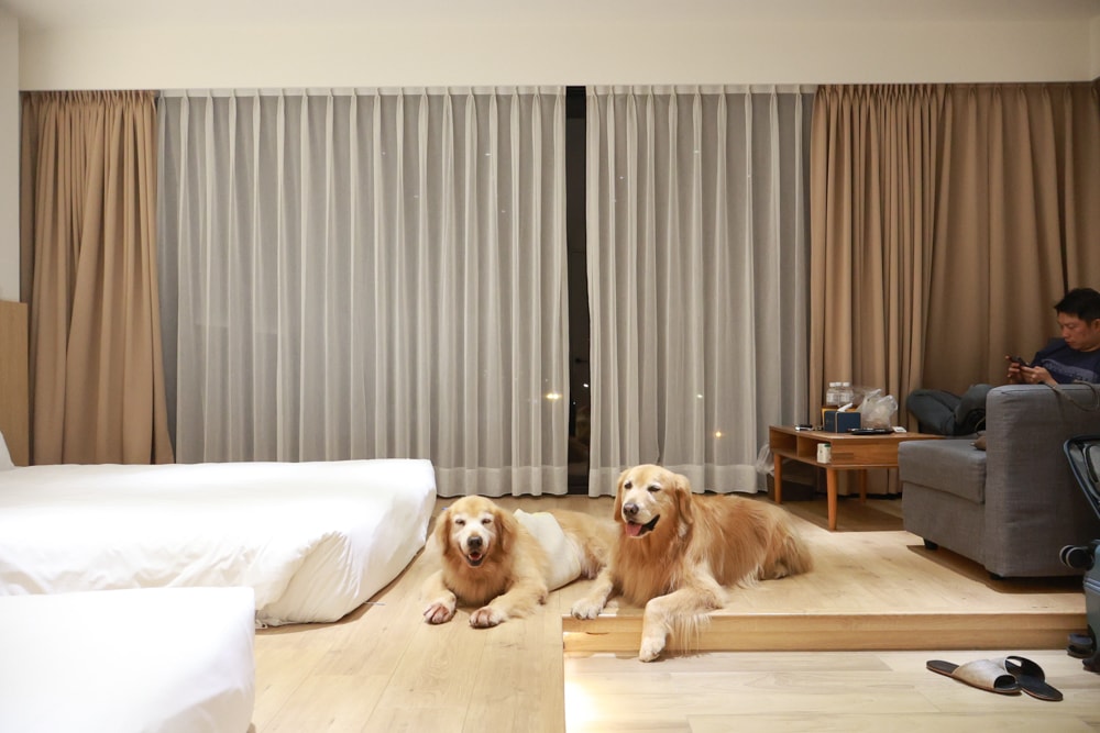 台南安平住宿推薦|衡定理台南安平包棟民宿.畃雨。高質感設計x寵物友善民宿,超值又放鬆的度假首選!! - 第14張圖 台南安平住宿推薦|衡定理台南安平包棟民宿.畃雨。高質感設計x寵物友善民宿,超值又放鬆的度假首選!!