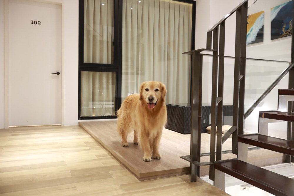 台南安平住宿推薦|衡定理台南安平包棟民宿.畃雨。高質感設計x寵物友善民宿,超值又放鬆的度假首選!! - 第30張圖 台南安平住宿推薦|衡定理台南安平包棟民宿.畃雨。高質感設計x寵物友善民宿,超值又放鬆的度假首選!!