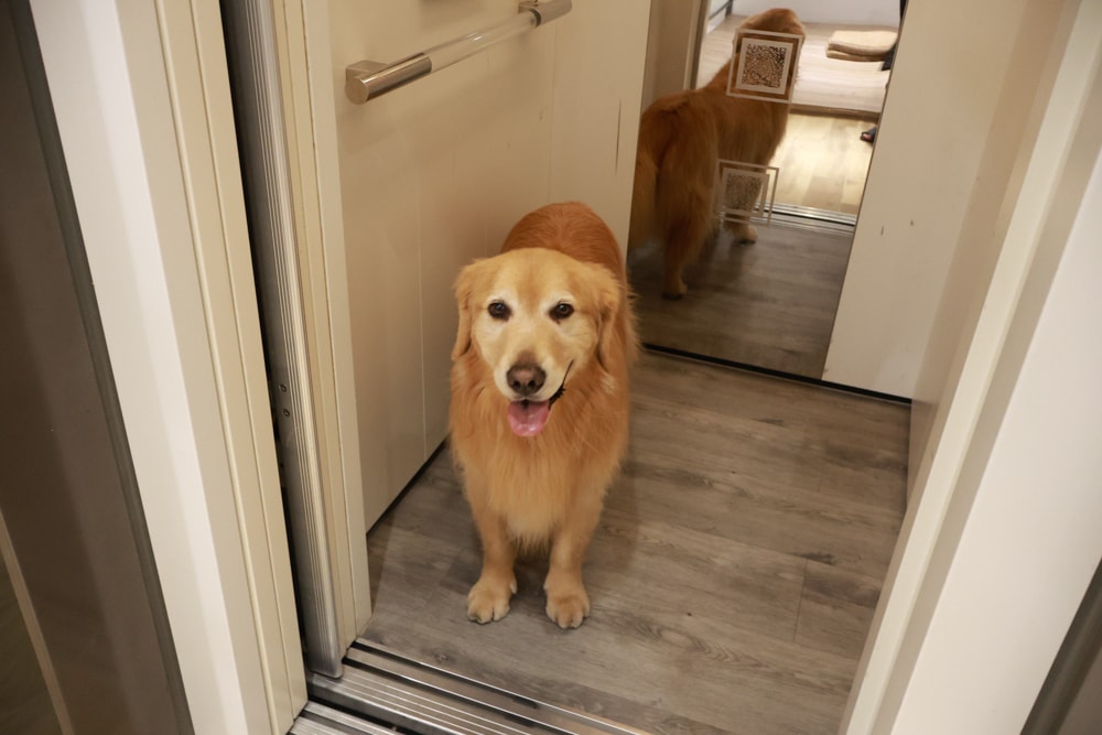 台南安平住宿推薦|衡定理台南安平包棟民宿.畃雨。高質感設計x寵物友善民宿,超值又放鬆的度假首選!! - 第31張圖 台南安平住宿推薦|衡定理台南安平包棟民宿.畃雨。高質感設計x寵物友善民宿,超值又放鬆的度假首選!!
