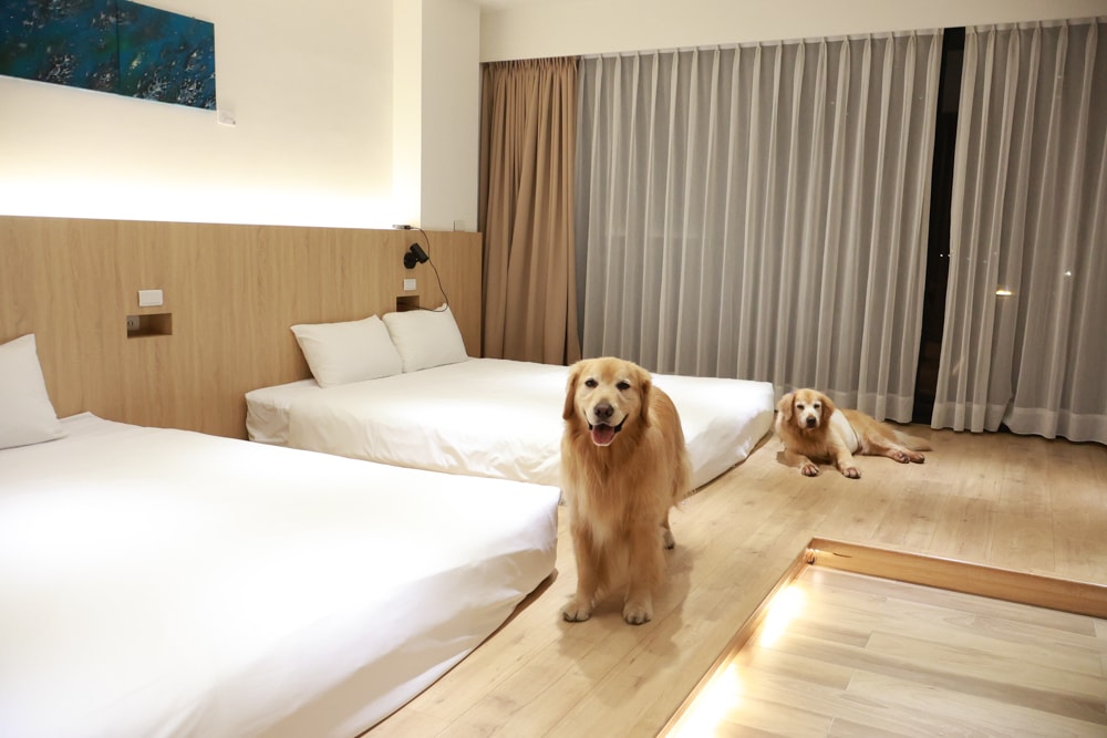 台南安平住宿推薦|衡定理台南安平包棟民宿.畃雨。高質感設計x寵物友善民宿,超值又放鬆的度假首選!! - 第16張圖 台南安平住宿推薦|衡定理台南安平包棟民宿.畃雨。高質感設計x寵物友善民宿,超值又放鬆的度假首選!!