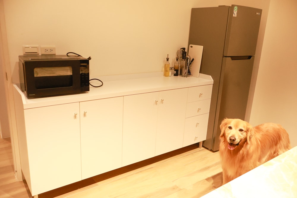 台南安平住宿推薦|衡定理台南安平包棟民宿.畃雨。高質感設計x寵物友善民宿,超值又放鬆的度假首選!! - 第26張圖 台南安平住宿推薦|衡定理台南安平包棟民宿.畃雨。高質感設計x寵物友善民宿,超值又放鬆的度假首選!!