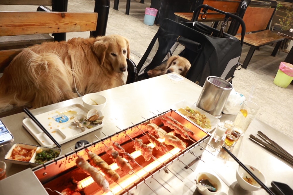 台南安平美食｜請上桌戶外海景海鮮燒烤餐廳。寵物友善餐廳、台南安平港灣旁邊、熱炒燒烤、自動烤肉串燒