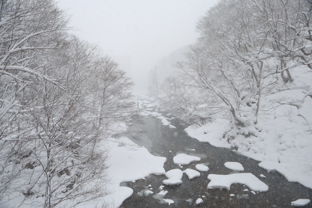 北海道定山溪溫泉全攻略|定山溪溫泉景點、美食、交通。尋找可愛河童的蹤跡!距離札幌50分鐘車程 - 第28張圖 北海道定山溪溫泉全攻略|定山溪溫泉景點、美食、交通。尋找可愛河童的蹤跡!距離札幌50分鐘車程