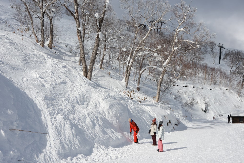 北海道星野TOMAMU度假村|冬季童話世界、一場粉雪與奇幻冰城的浪漫冒險!冬天不滑雪?來星野 TOMAMU也能玩瘋! - 第33張圖 北海道星野TOMAMU度假村|冬季童話世界、一場粉雪與奇幻冰城的浪漫冒險!冬天不滑雪?來星野 TOMAMU也能玩瘋!