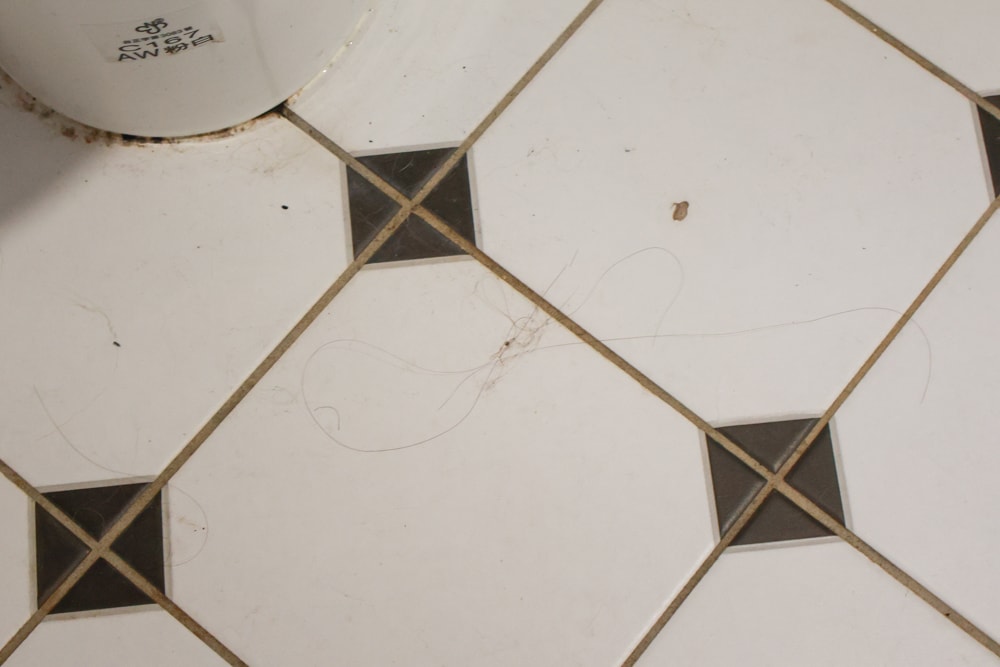 茉莉家事服務｜專業清潔團隊，讓家瞬間煥然一新，大台北地區居家清潔服務推薦、狗毛、髒污、霉斑、油污一次搞定