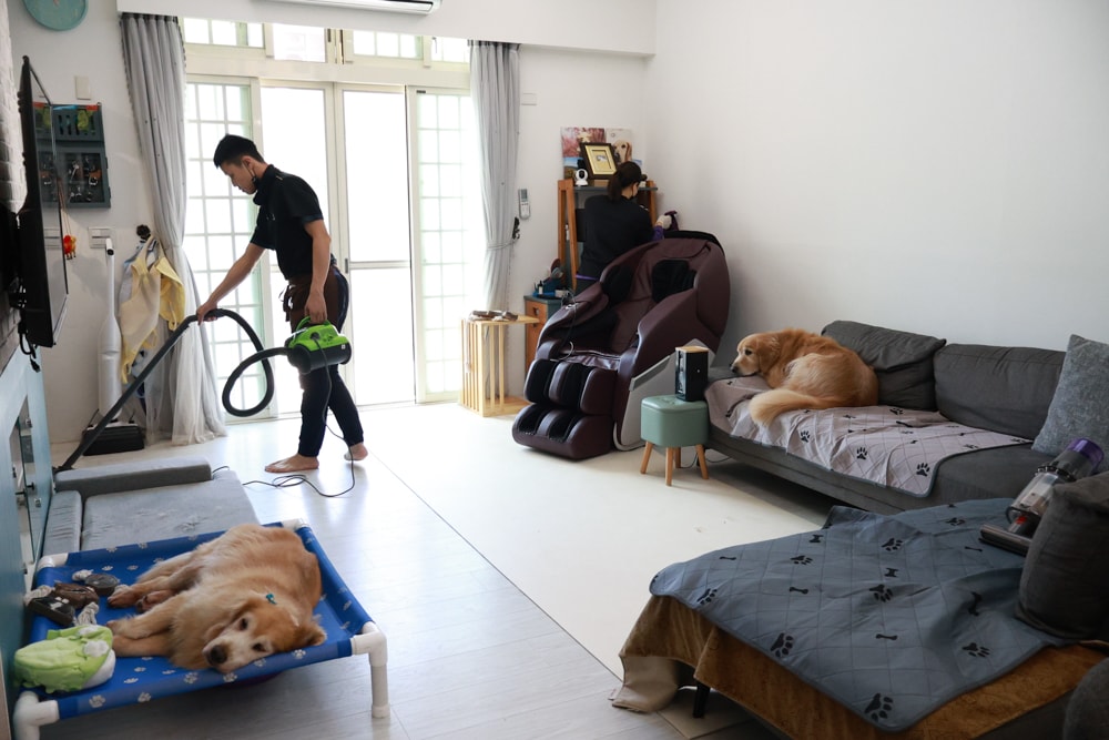 茉莉家事服務｜專業清潔團隊，讓家瞬間煥然一新，大台北地區居家清潔服務推薦、狗毛、髒污、霉斑、油污一次搞定