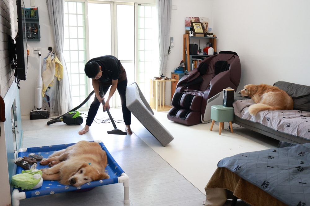 茉莉家事服務｜專業清潔團隊，讓家瞬間煥然一新，大台北地區居家清潔服務推薦、狗毛、髒污、霉斑、油污一次搞定