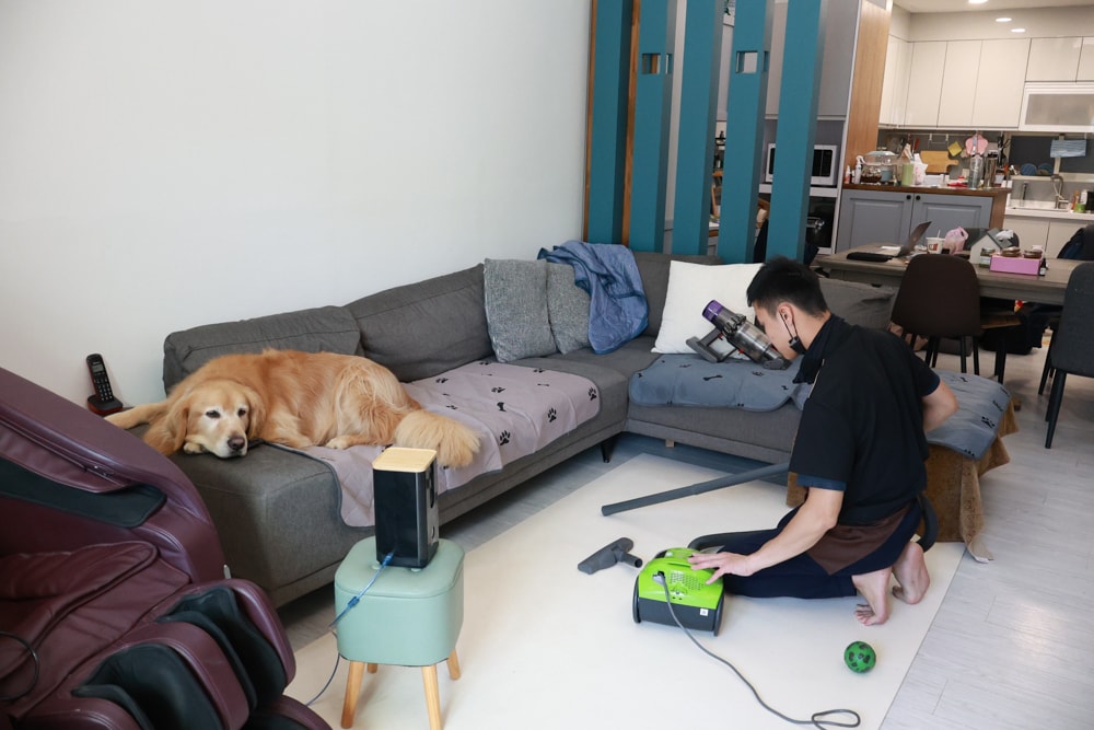 茉莉家事服務｜專業清潔團隊，讓家瞬間煥然一新，大台北地區居家清潔服務推薦、狗毛、髒污、霉斑、油污一次搞定