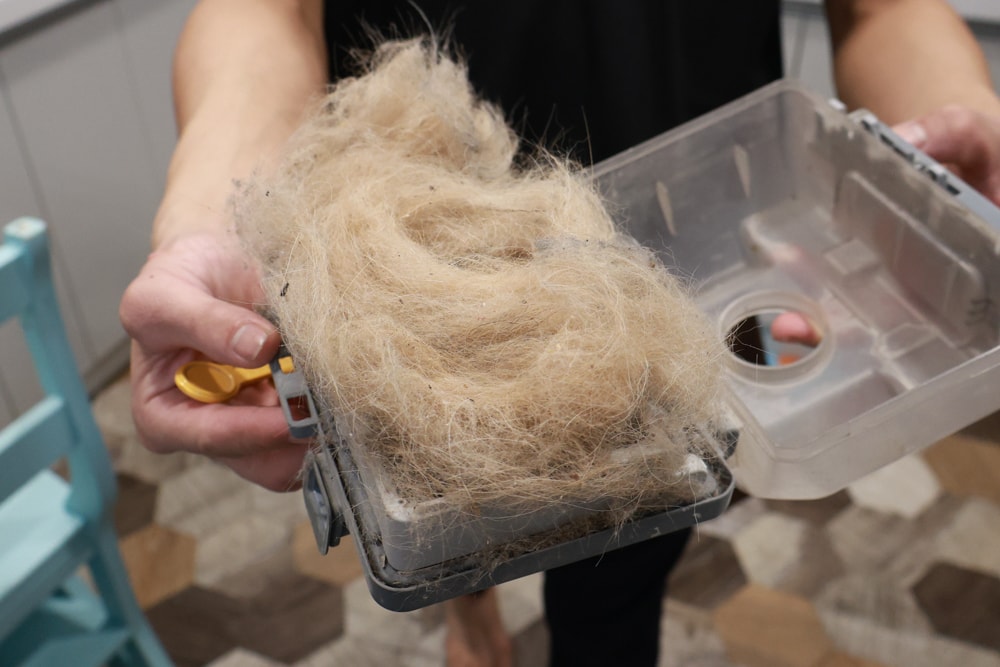 茉莉家事服務｜專業清潔團隊，讓家瞬間煥然一新，大台北地區居家清潔服務推薦、狗毛、髒污、霉斑、油污一次搞定