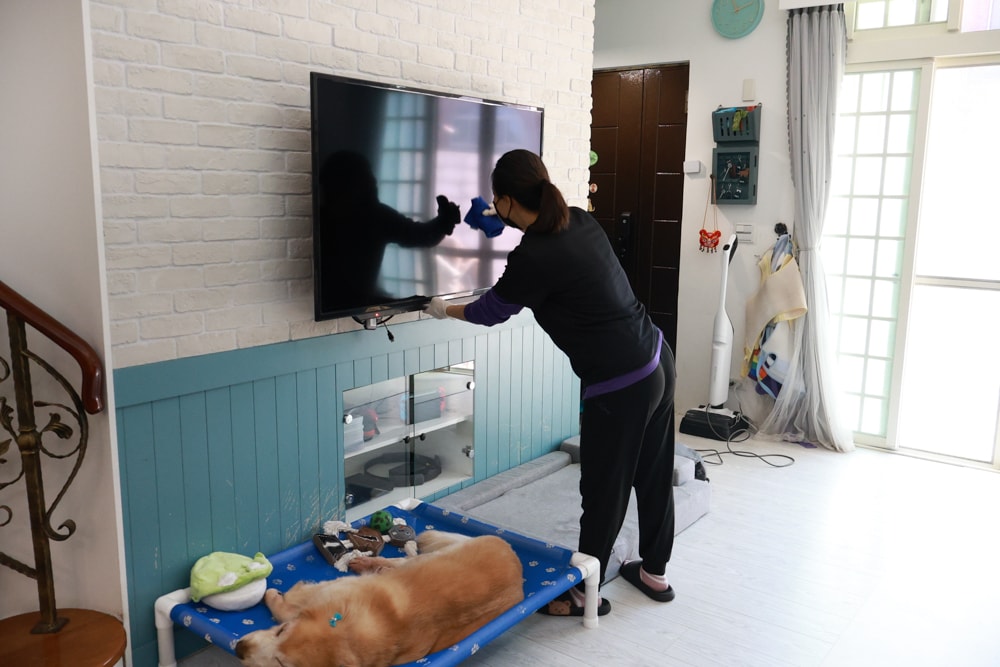 茉莉家事服務｜專業清潔團隊，讓家瞬間煥然一新，大台北地區居家清潔服務推薦、狗毛、髒污、霉斑、油污一次搞定