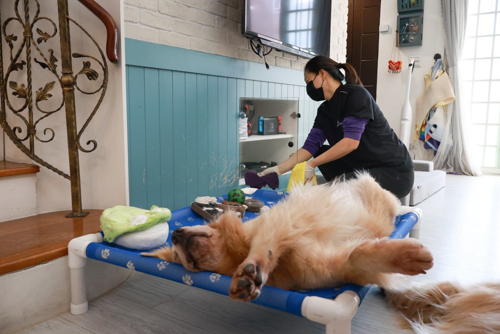 茉莉家事服務｜專業清潔團隊，讓家瞬間煥然一新，大台北地區居家清潔服務推薦、狗毛、髒污、霉斑、油污一次搞定