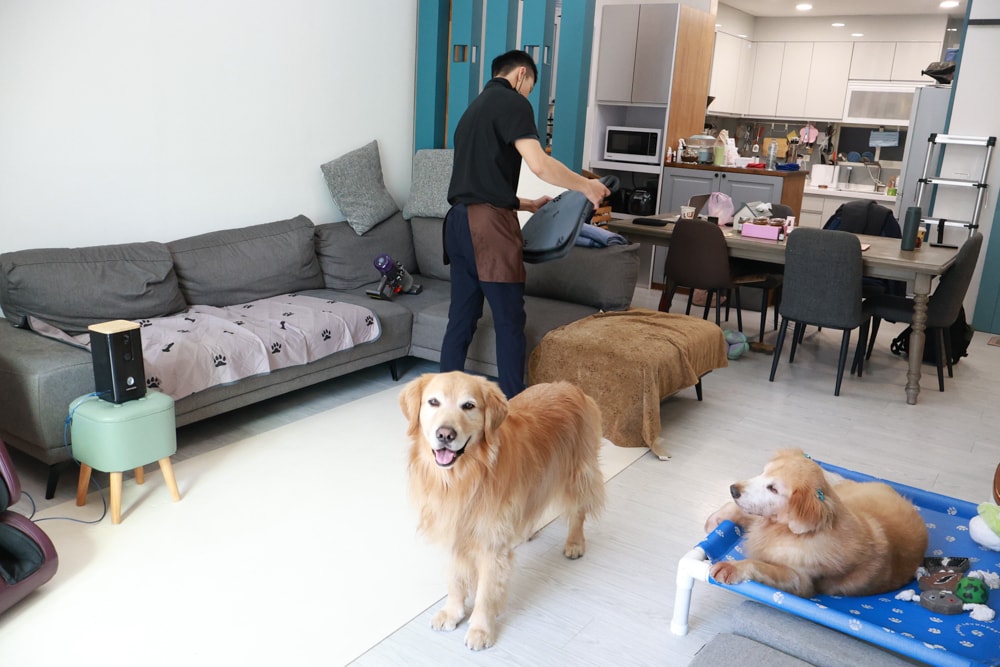 茉莉家事服務｜專業清潔團隊，讓家瞬間煥然一新，大台北地區居家清潔服務推薦、狗毛、髒污、霉斑、油污一次搞定