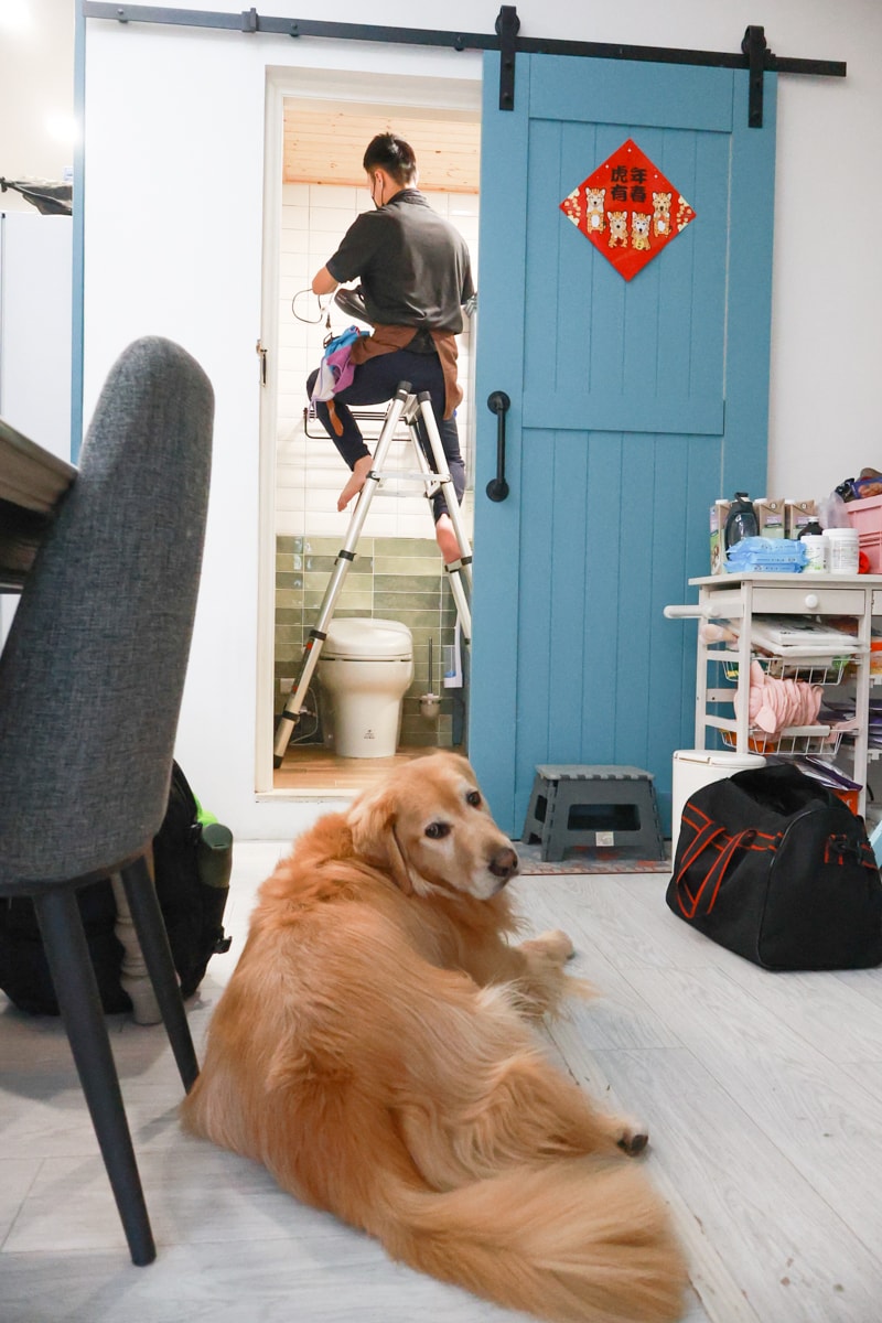 茉莉家事服務｜專業清潔團隊，讓家瞬間煥然一新，大台北地區居家清潔服務推薦、狗毛、髒污、霉斑、油污一次搞定