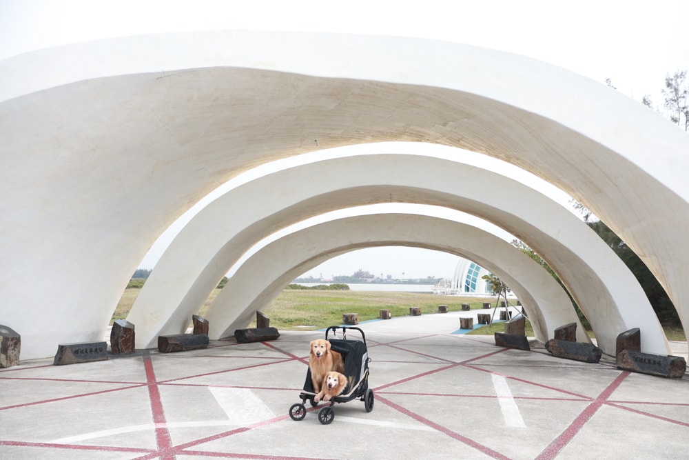台南寵物友善景點｜北門洗滌鹽工場一日遊攻略。帶毛孩搭遊園車、奔跑草地、探索鹽鄉文化！
