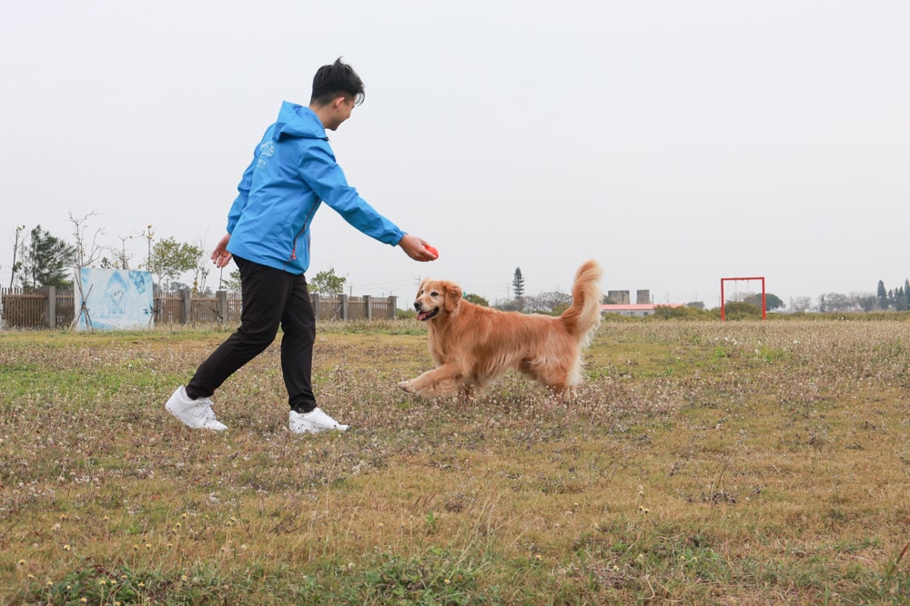 台南寵物友善景點｜北門洗滌鹽工場一日遊攻略。帶毛孩搭遊園車、奔跑草地、探索鹽鄉文化！