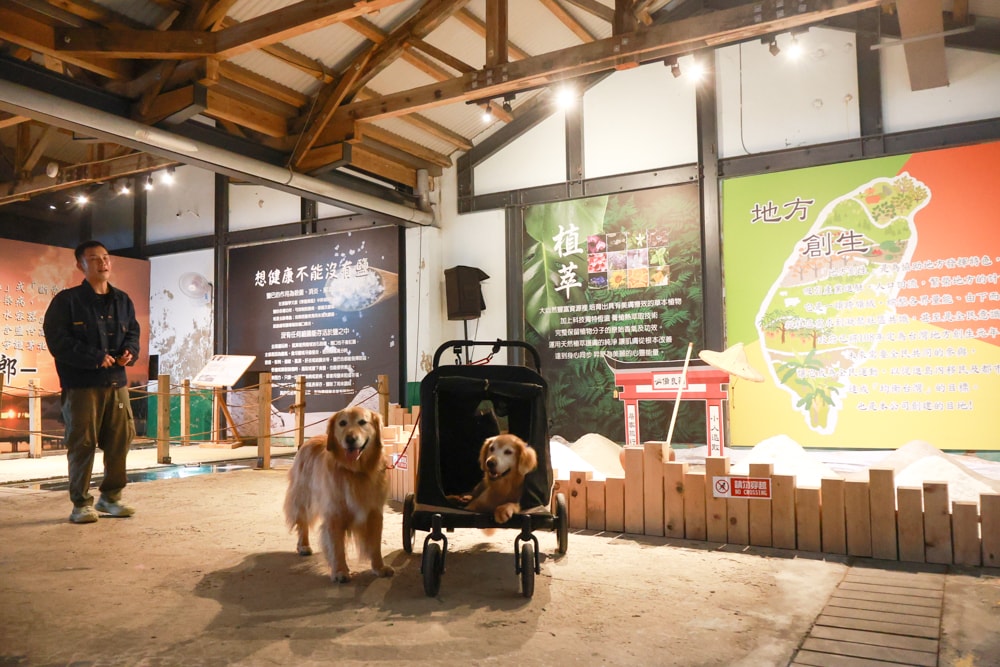 台南寵物友善景點｜北門洗滌鹽工場一日遊攻略。帶毛孩搭遊園車、奔跑草地、探索鹽鄉文化！