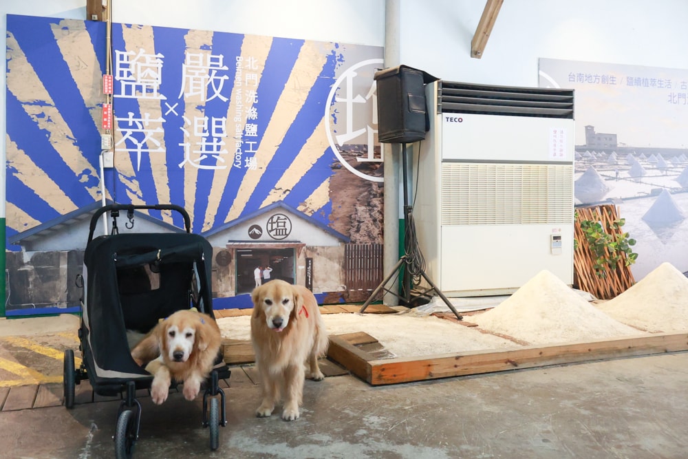 台南寵物友善景點｜北門洗滌鹽工場一日遊攻略。帶毛孩搭遊園車、奔跑草地、探索鹽鄉文化！