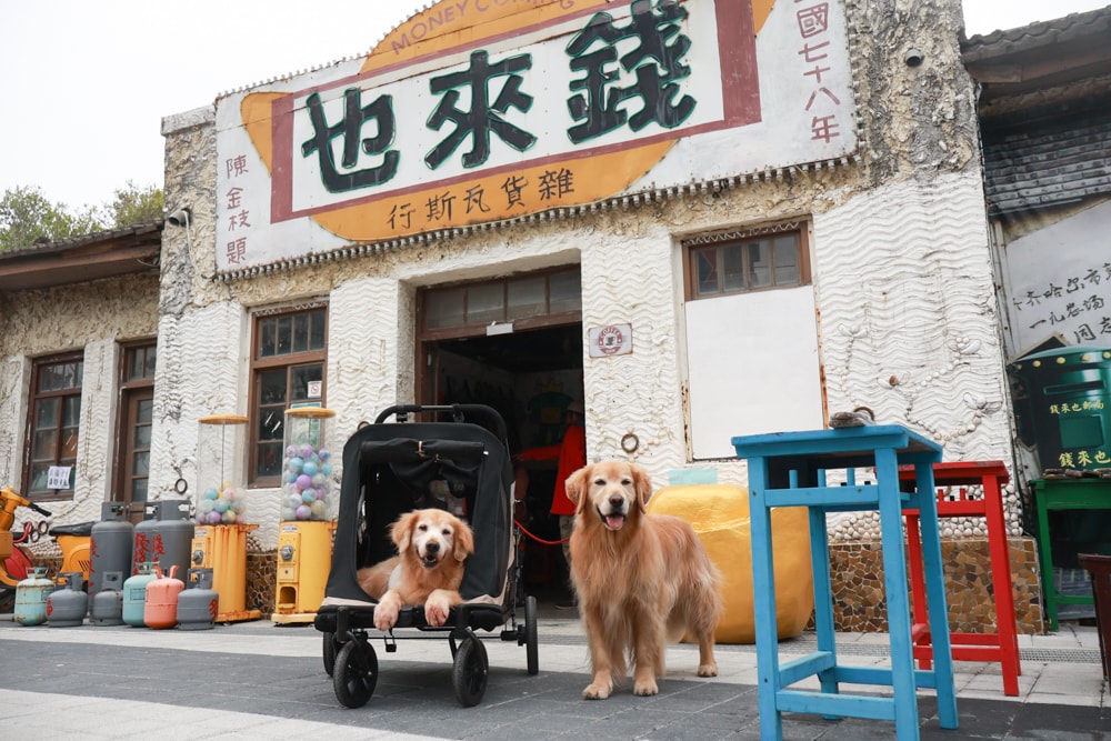 台南寵物友善景點｜北門洗滌鹽工場一日遊攻略。帶毛孩搭遊園車、奔跑草地、探索鹽鄉文化！