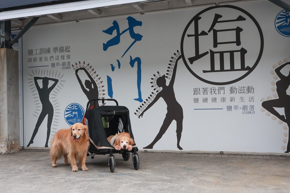 台南寵物友善景點｜北門洗滌鹽工場一日遊攻略。帶毛孩搭遊園車、奔跑草地、探索鹽鄉文化！