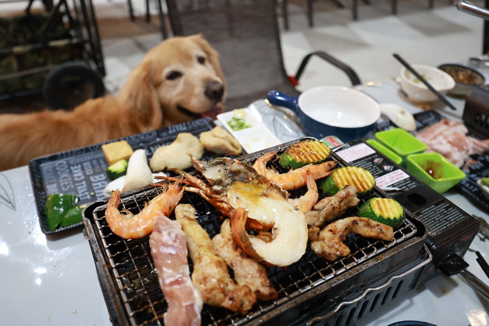 LAPOPO 拉波波村｜基隆豪華露營。一泊三食免裝備、獨立衛浴＋峽谷生態導覽＋寵物友善露營