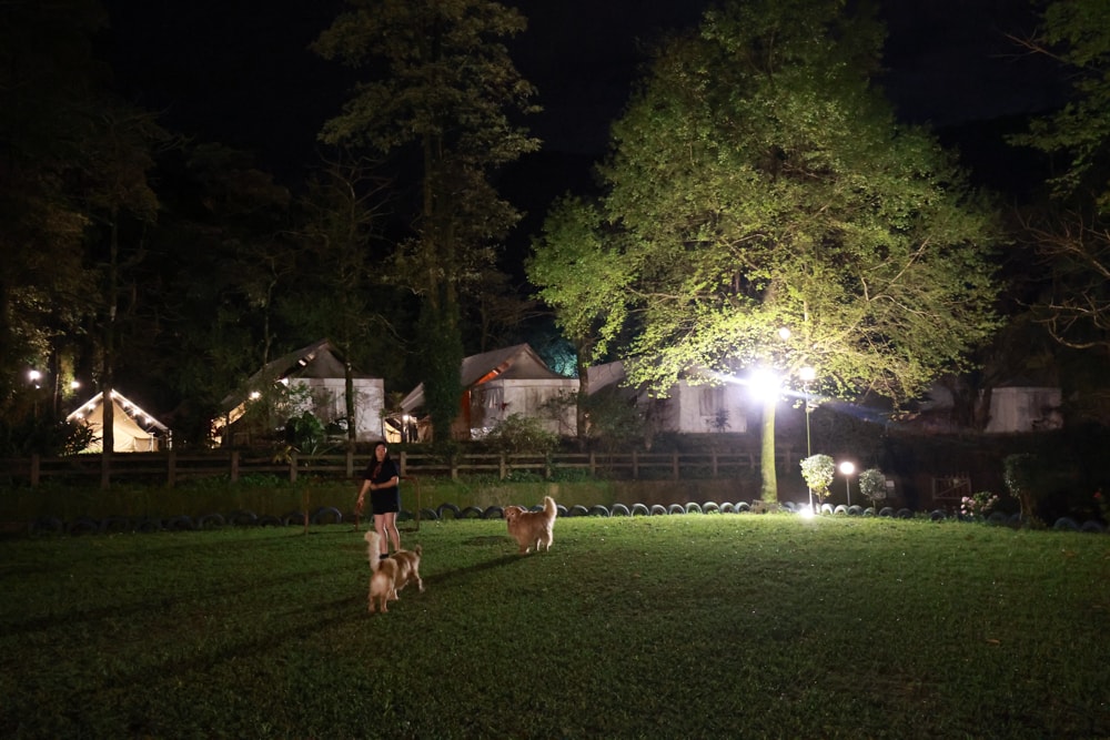 LAPOPO 拉波波村｜基隆豪華露營。一泊三食免裝備、獨立衛浴＋峽谷生態導覽＋寵物友善露營