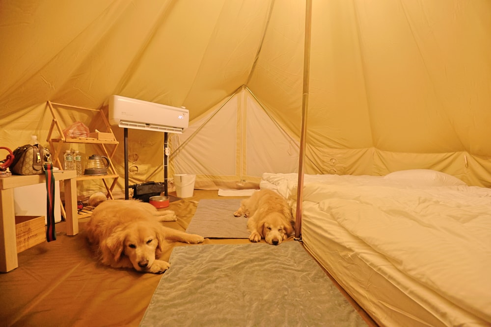 LAPOPO 拉波波村｜基隆豪華露營。一泊三食免裝備、獨立衛浴＋峽谷生態導覽＋寵物友善露營