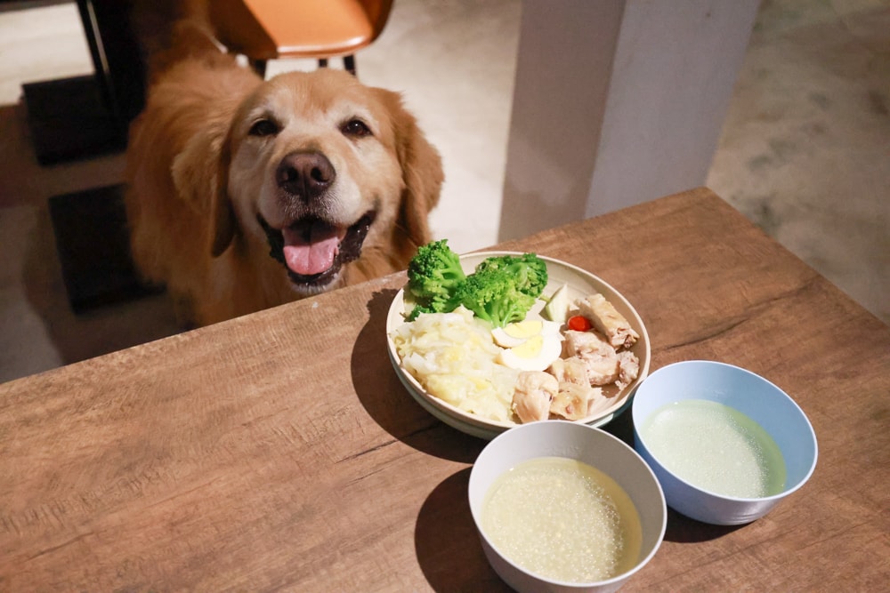 LAPOPO 拉波波村｜基隆豪華露營。一泊三食免裝備、獨立衛浴＋峽谷生態導覽＋寵物友善露營