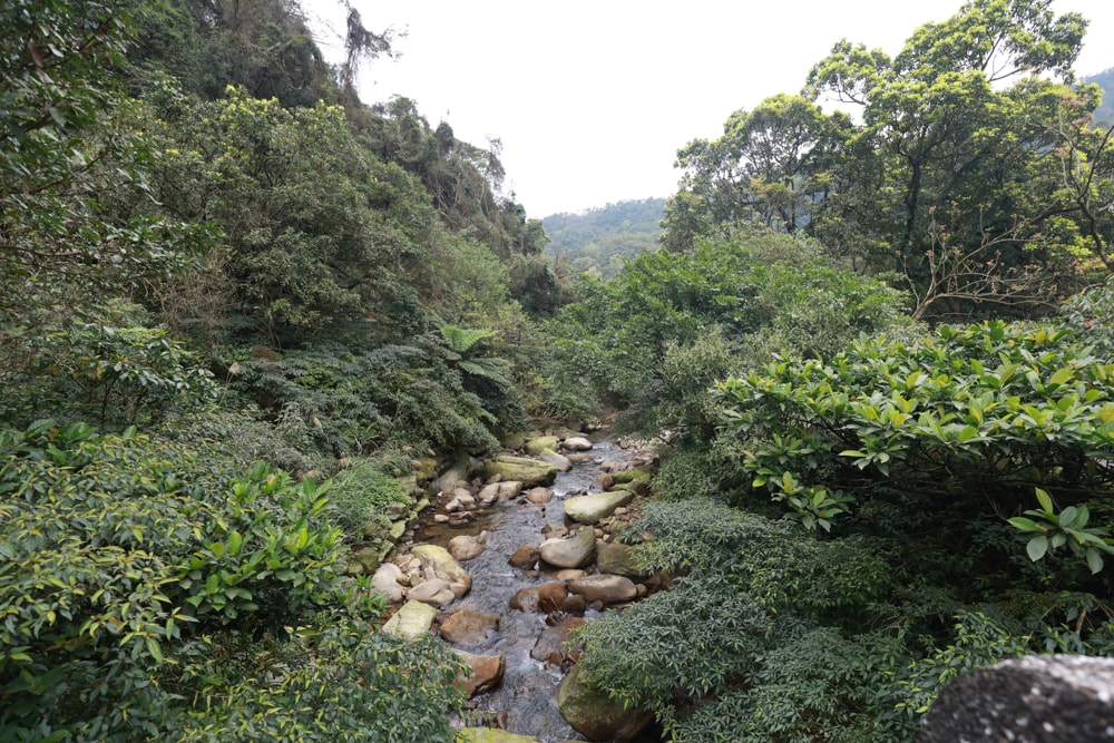 LAPOPO 拉波波村｜基隆豪華露營。一泊三食免裝備、獨立衛浴＋峽谷生態導覽＋寵物友善露營