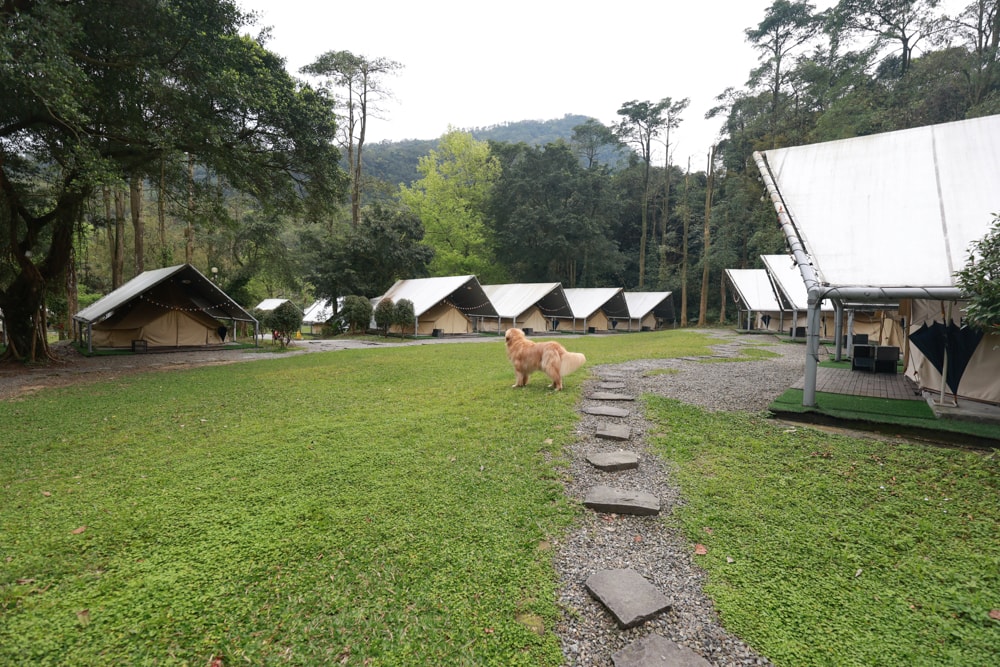 LAPOPO 拉波波村｜基隆豪華露營。一泊三食免裝備、獨立衛浴＋峽谷生態導覽＋寵物友善露營