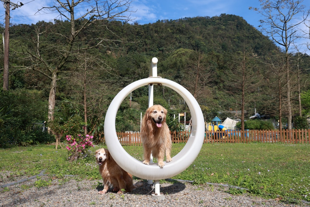 LAPOPO 拉波波村｜基隆豪華露營。一泊三食免裝備、獨立衛浴＋峽谷生態導覽＋寵物友善露營