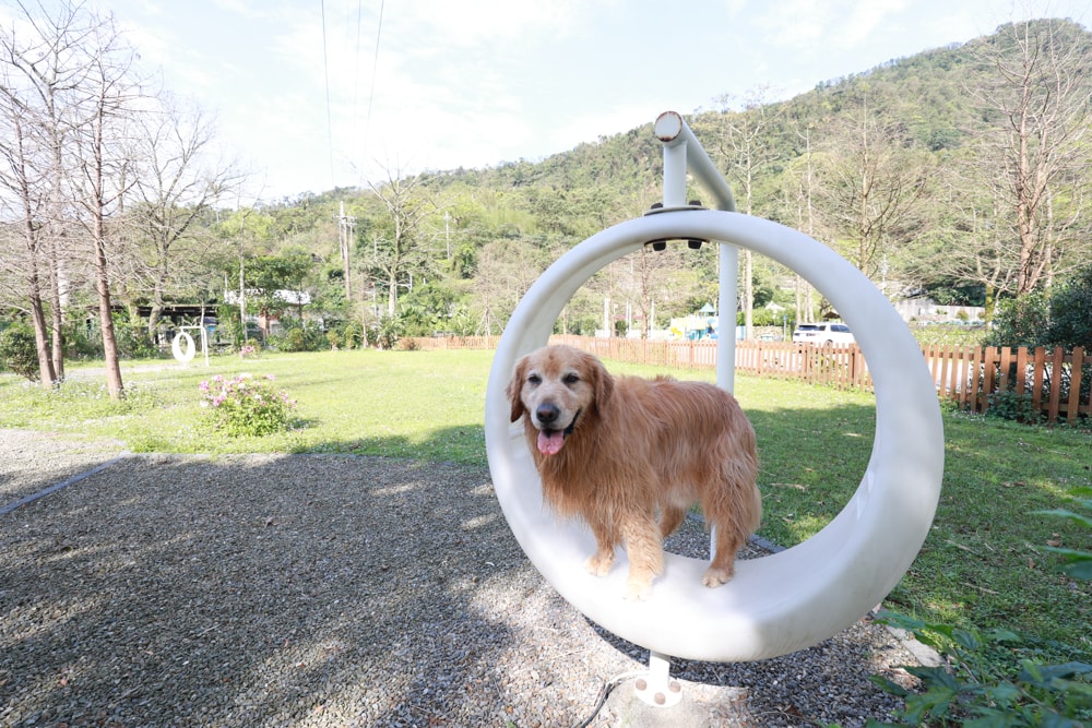 LAPOPO 拉波波村｜基隆豪華露營。一泊三食免裝備、獨立衛浴＋峽谷生態導覽＋寵物友善露營