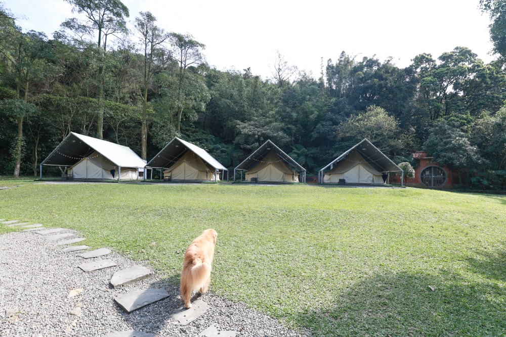 LAPOPO 拉波波村｜基隆豪華露營。一泊三食免裝備、獨立衛浴＋峽谷生態導覽＋寵物友善露營