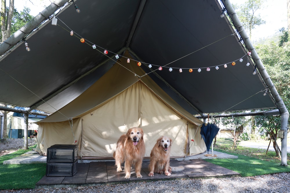 LAPOPO 拉波波村｜基隆豪華露營。一泊三食免裝備、獨立衛浴＋峽谷生態導覽＋寵物友善露營