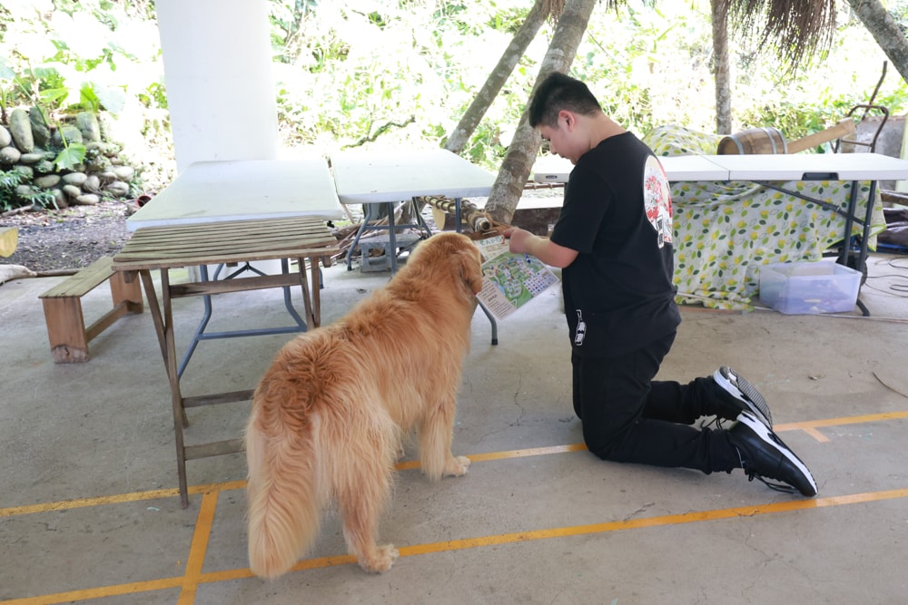 LAPOPO 拉波波村｜基隆豪華露營。一泊三食免裝備、獨立衛浴＋峽谷生態導覽＋寵物友善露營