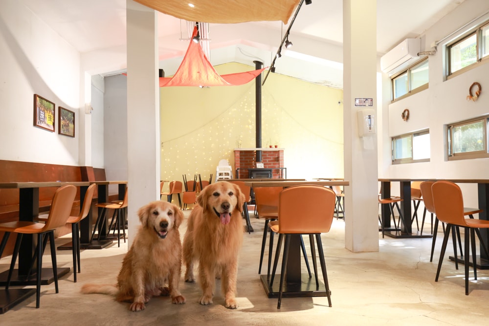 LAPOPO 拉波波村｜基隆豪華露營。一泊三食免裝備、獨立衛浴＋峽谷生態導覽＋寵物友善露營