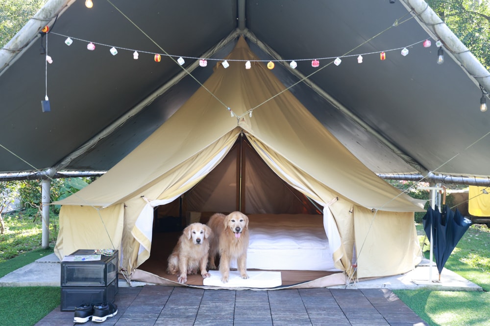 LAPOPO 拉波波村｜基隆豪華露營。一泊三食免裝備、獨立衛浴＋峽谷生態導覽＋寵物友善露營