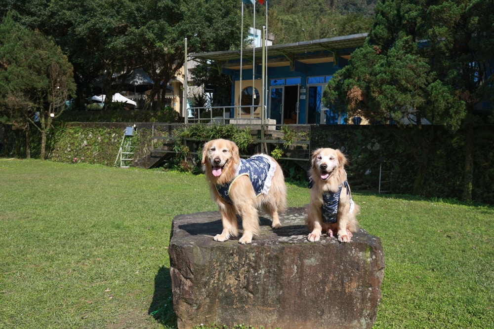 LAPOPO 拉波波村｜基隆豪華露營。一泊三食免裝備、獨立衛浴＋峽谷生態導覽＋寵物友善露營