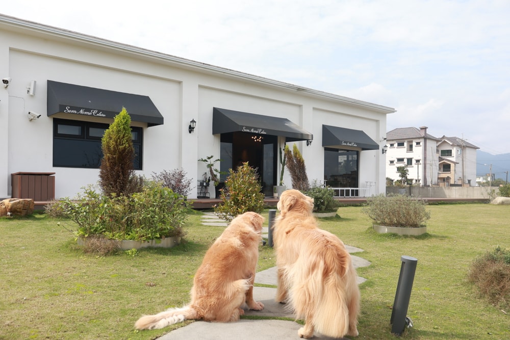 宜蘭三星美食｜無名糧倉 Sem Nome Celeiro。純白北歐風質感咖啡廳，大片落地窗、田園景觀＋美味餐點、寵物友善！