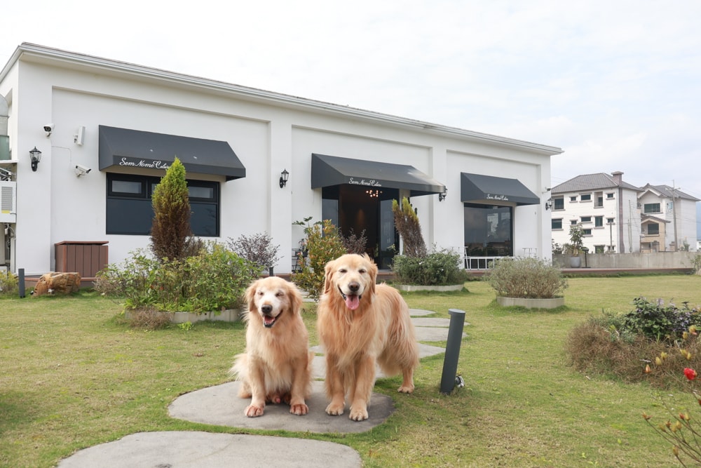 宜蘭三星美食｜無名糧倉 Sem Nome Celeiro。純白北歐風質感咖啡廳，大片落地窗、田園景觀＋美味餐點、寵物友善！