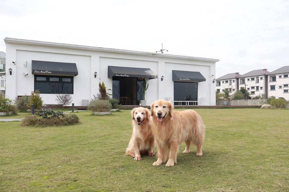 宜蘭三星美食｜無名糧倉 Sem Nome Celeiro。純白北歐風質感咖啡廳，大片落地窗、田園景觀＋美味餐點、寵物友善！