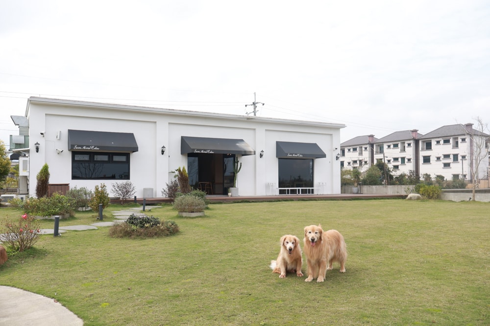 宜蘭三星美食｜無名糧倉 Sem Nome Celeiro。純白北歐風質感咖啡廳，大片落地窗、田園景觀＋美味餐點、寵物友善！