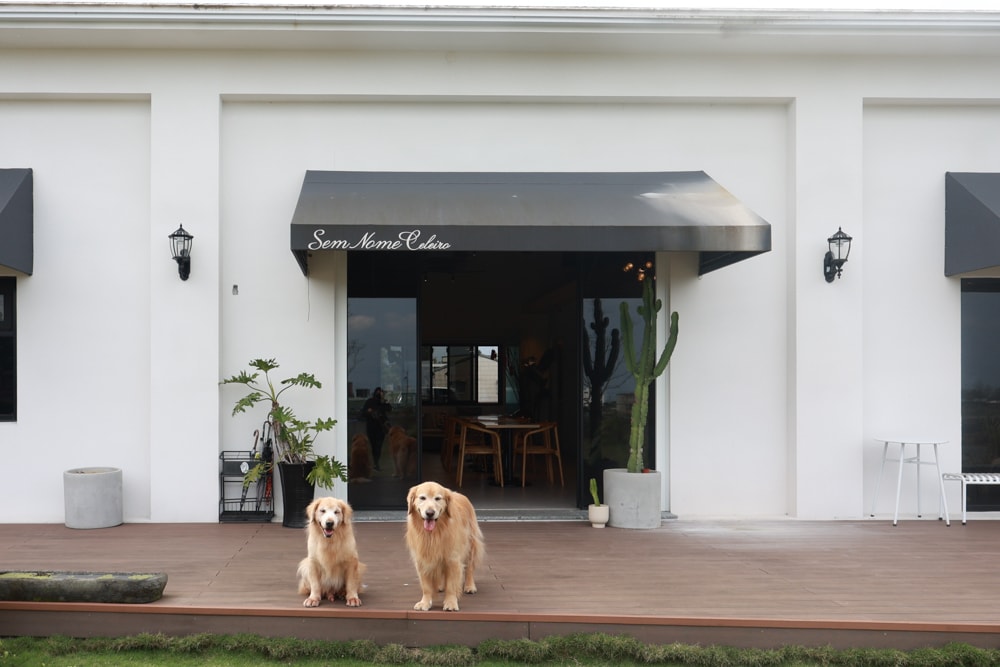 宜蘭三星美食｜無名糧倉 Sem Nome Celeiro。純白北歐風質感咖啡廳，大片落地窗、田園景觀＋美味餐點、寵物友善！