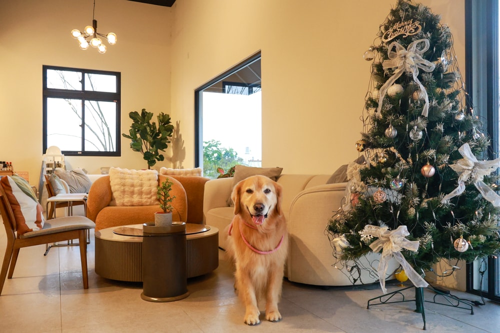 宜蘭三星美食｜無名糧倉 Sem Nome Celeiro。純白北歐風質感咖啡廳，大片落地窗、田園景觀＋美味餐點、寵物友善！