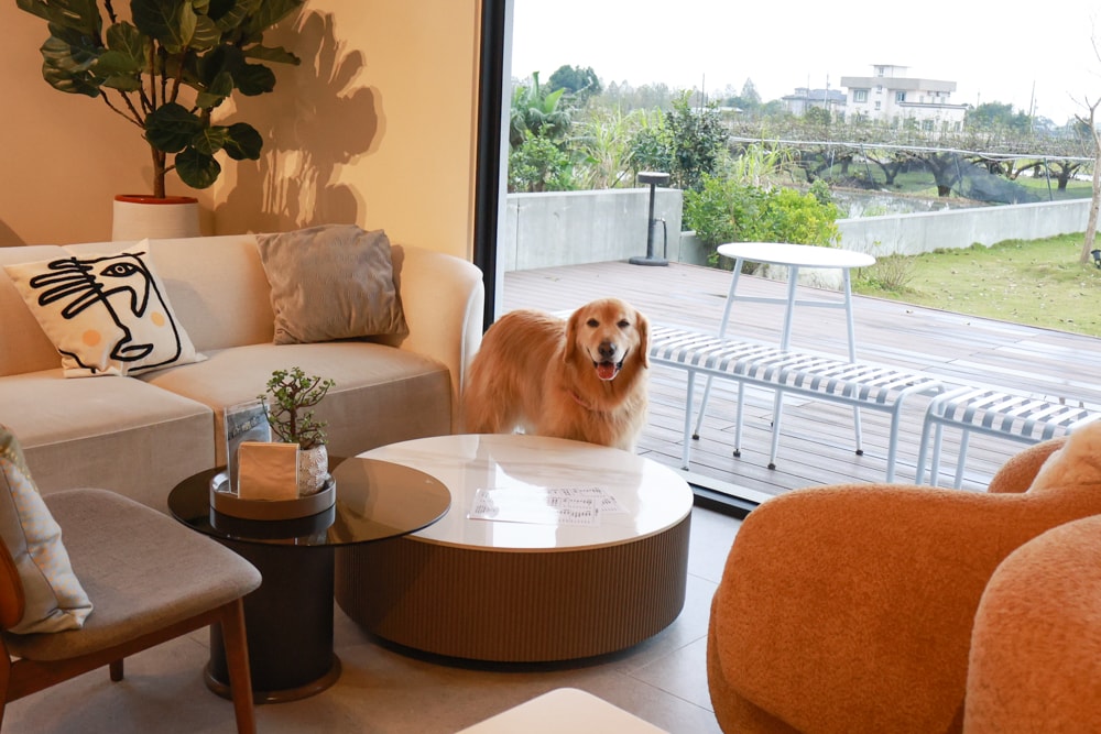 宜蘭三星美食｜無名糧倉 Sem Nome Celeiro。純白北歐風質感咖啡廳，大片落地窗、田園景觀＋美味餐點、寵物友善！