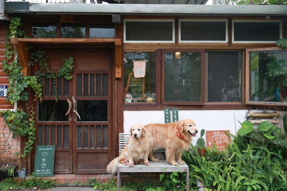 花蓮寵物友善早午餐推薦|穀地 Goody Brunch & Cafe 戰斧豬超嫩、酸種麵包超香!還有店狗露露坐檯! - 第21張圖 花蓮寵物友善早午餐推薦|穀地 Goody Brunch & Cafe 戰斧豬超嫩、酸種麵包超香!還有店狗露露坐檯!