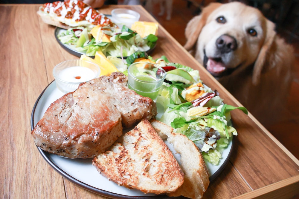 花蓮寵物友善早午餐推薦|穀地 Goody Brunch & Cafe 戰斧豬超嫩、酸種麵包超香!還有店狗露露坐檯! - 第14張圖 花蓮寵物友善早午餐推薦|穀地 Goody Brunch & Cafe 戰斧豬超嫩、酸種麵包超香!還有店狗露露坐檯!
