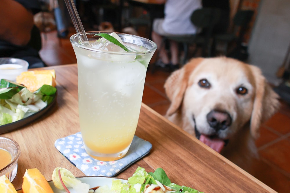 花蓮寵物友善早午餐推薦|穀地 Goody Brunch & Cafe 戰斧豬超嫩、酸種麵包超香!還有店狗露露坐檯! - 第17張圖 花蓮寵物友善早午餐推薦|穀地 Goody Brunch & Cafe 戰斧豬超嫩、酸種麵包超香!還有店狗露露坐檯!