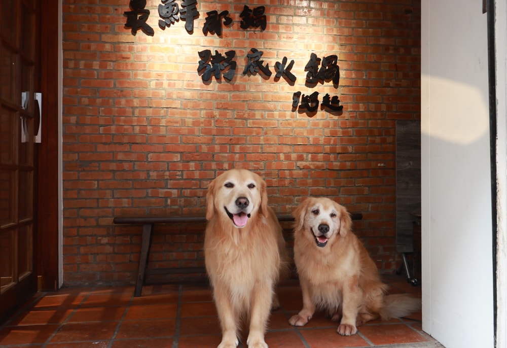 台北火鍋熱炒推薦｜粥起 粥底火鍋．熱炒。全台粥底火鍋專賣！粥控必朝聖！必點熱炒、寵物友善驚喜
