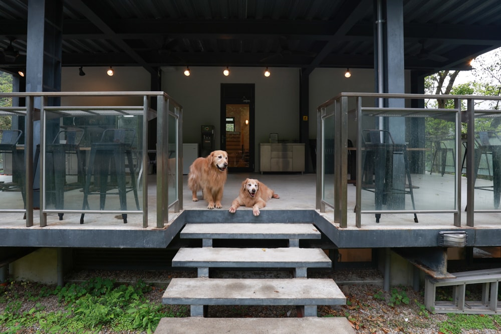 新北烏來住宿推薦|足立司拉梯田溫泉背包館、寵物友善、平日包棟、泡湯、觀星一次滿足 - 第9張圖 新北烏來住宿推薦|足立司拉梯田溫泉背包館、寵物友善、平日包棟、泡湯、觀星一次滿足